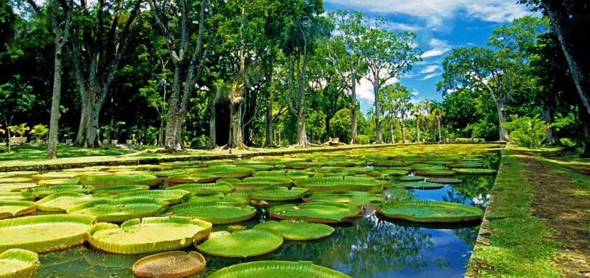 Lotus Villa, Residences Le Chaumet, Pereybere Bain Boeuf Esterno foto